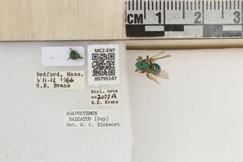 Media type: image;   Entomology 795147 Aspect: Labels